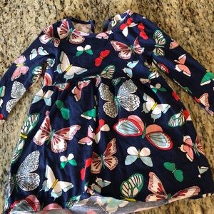 Baby Dress - Crazy 8